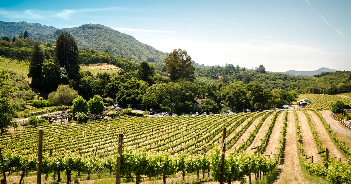 The Best Wineries to Visit in California 