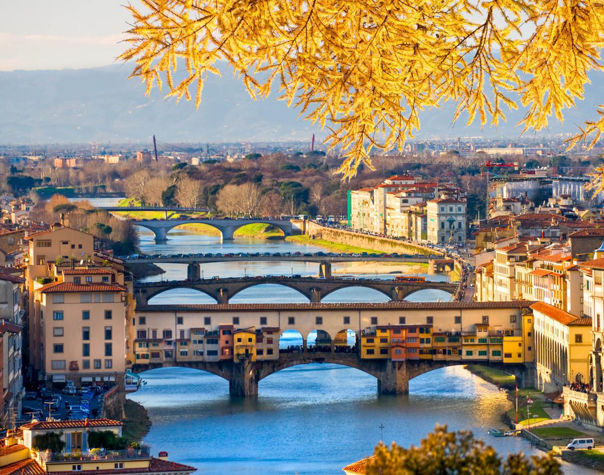 explore florence on a luxury hosted tour of italy