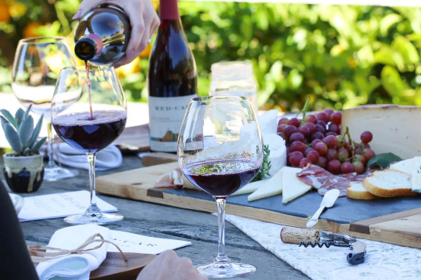 Enjoy wine tastings in California's renowned Carmel Valley and Paso Robles