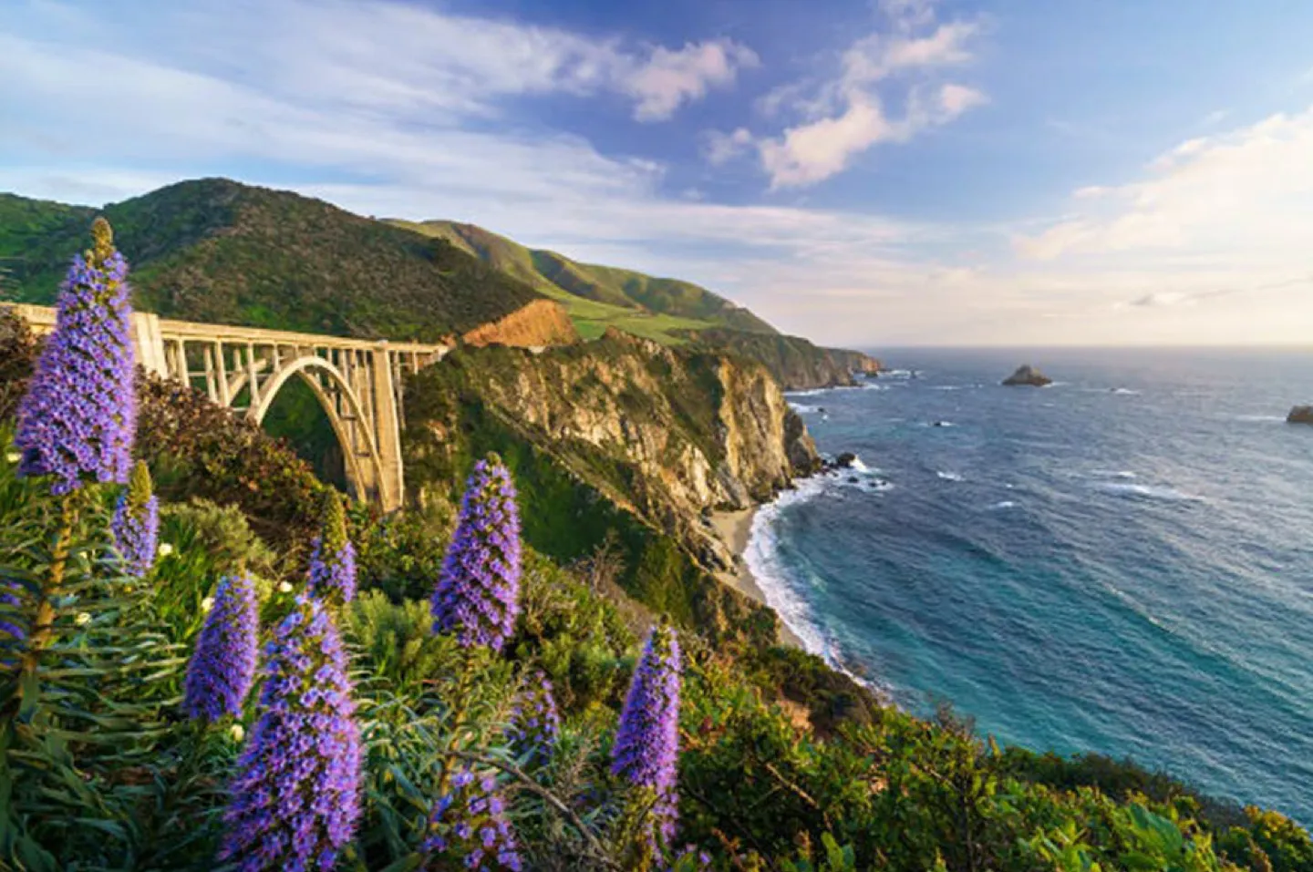 Drive Highway 1 and Napa Valley in a Ferrari or Lamborghini on a luxury exotic car driving vacation